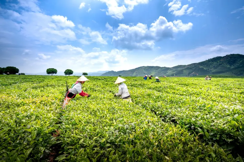 重庆安云途贸易花洒与浴室柜配套方案在装修工程中的应用实例