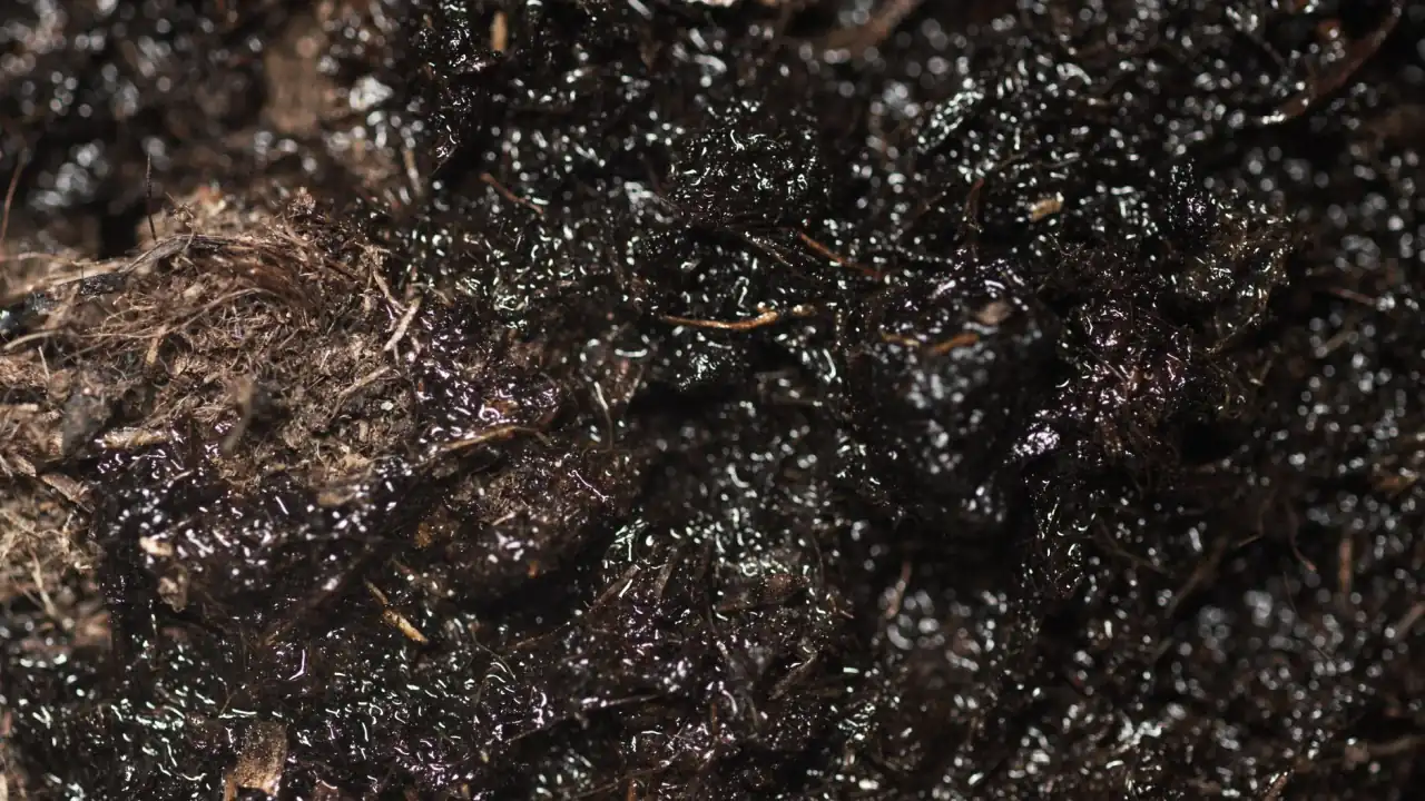 水龙头选购误区识别：重庆装修工程常见技术问题与对策