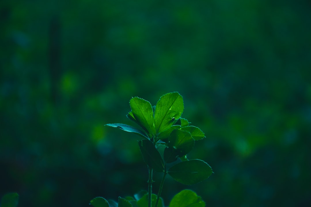 花洒与浴室柜一体化设计在工程装修中的技术要点