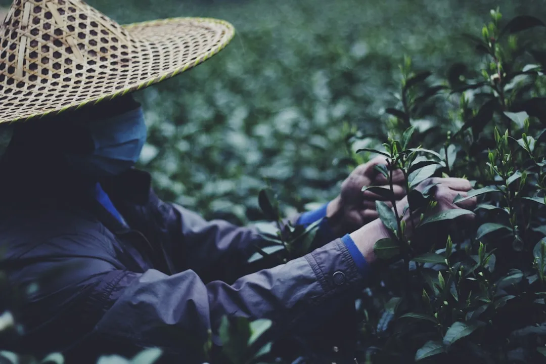 花洒与浴室柜一体化设计在工程装修中的技术要点